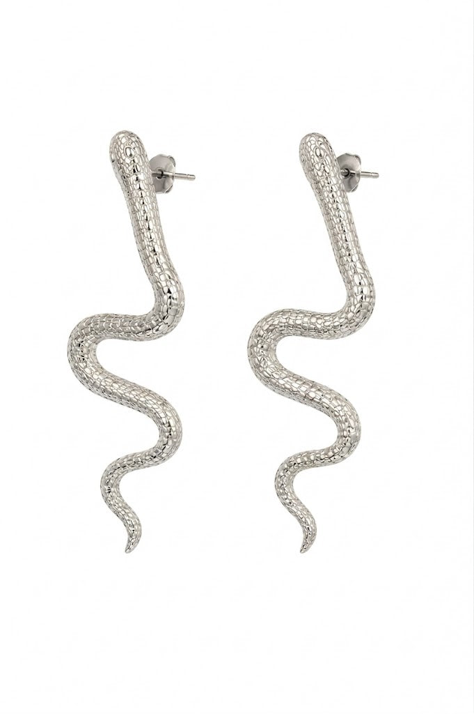 Trendy Snake Earrings